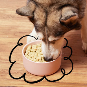 Spot & Tango unKibble Fresh Dog Food – photo 13
