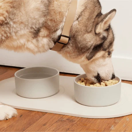 Spot & Tango unKibble Fresh Dog Food – photo 5