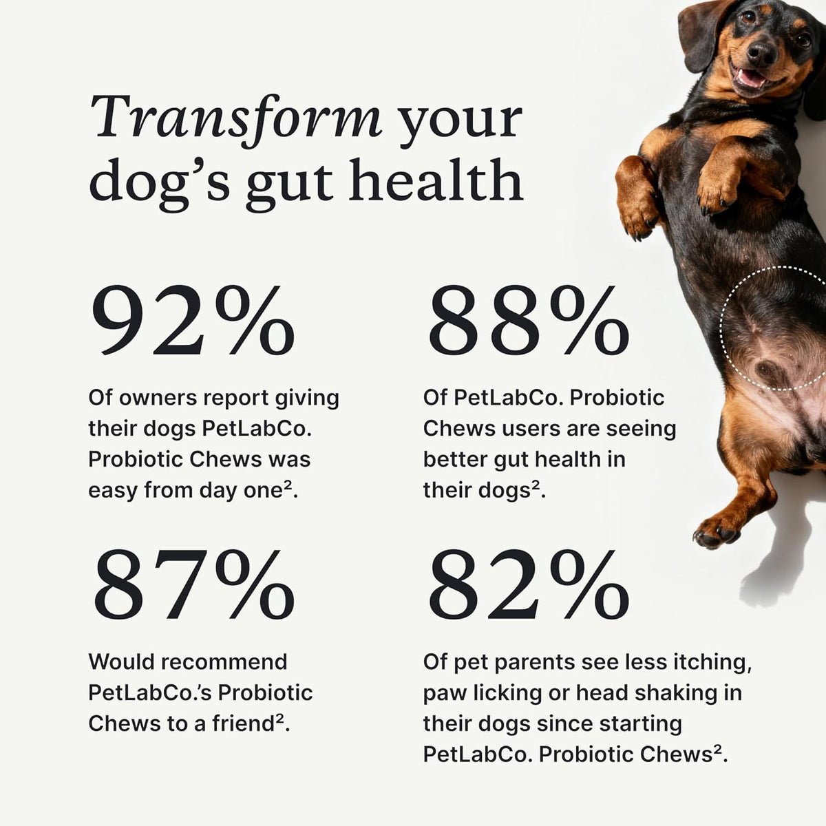 PetLab Co. Probiotic Chews for Dogs – Gut Health Supplement 30 Count – photo 7