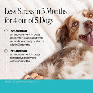Pet Honesty Calming Chews for Dogs — 90 Soft Chews – photo 3