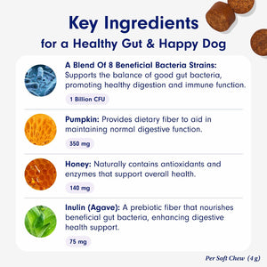 PetLab Co. Probiotic Chew+ for Dogs – Pork Flavor Digestive Support, 30 Chews – photo 5