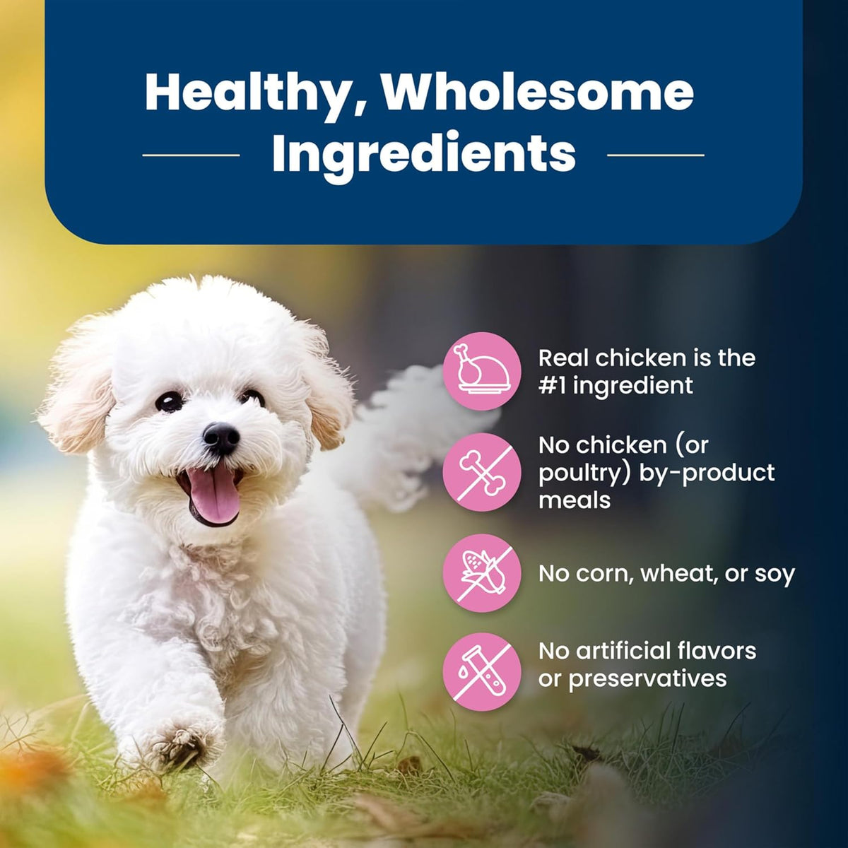 Blue Buffalo Life Protection Chicken and Rice Dry Dog Food – photo 9