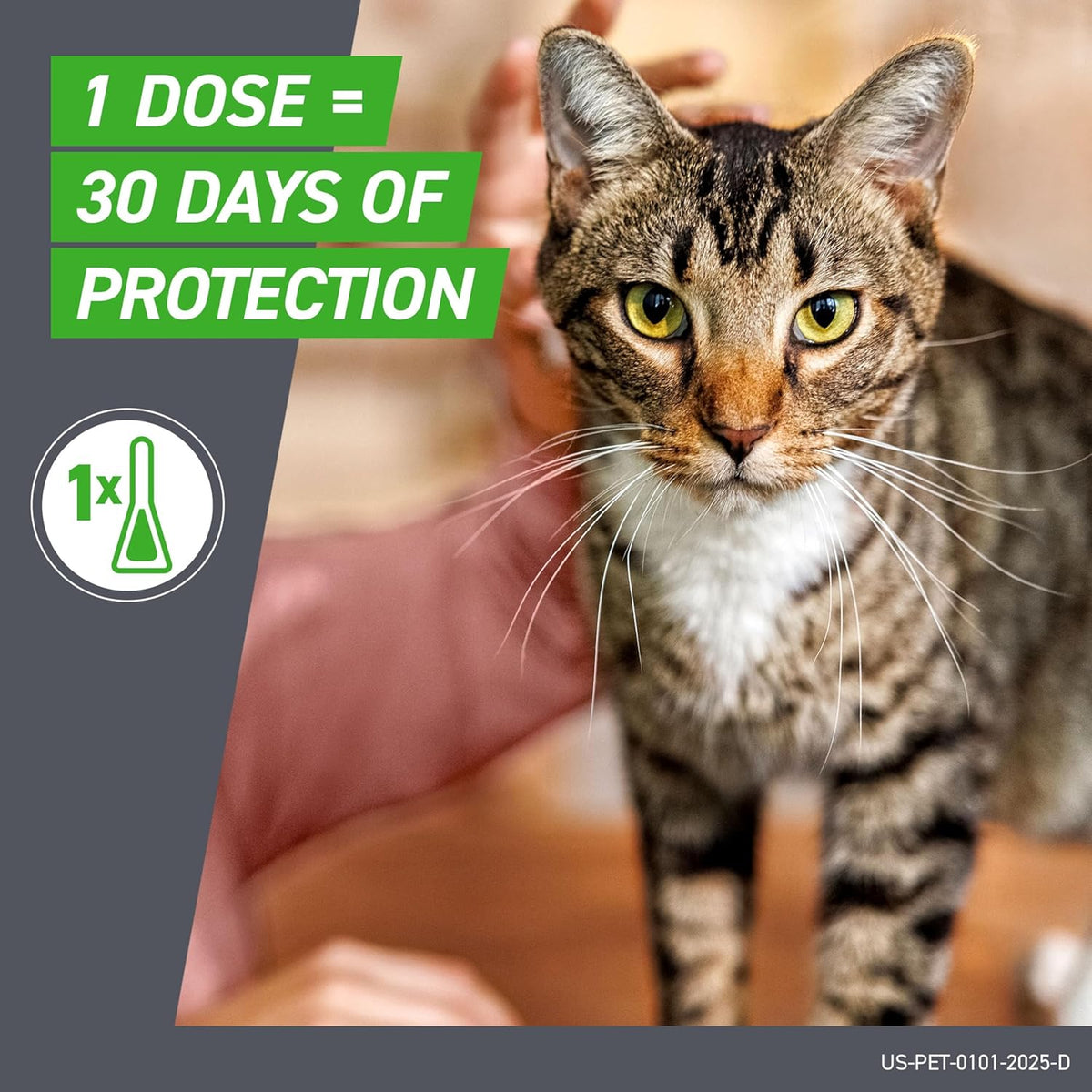Frontline Plus for Cats and Kittens – 6 Month Flea and Tick Prevention