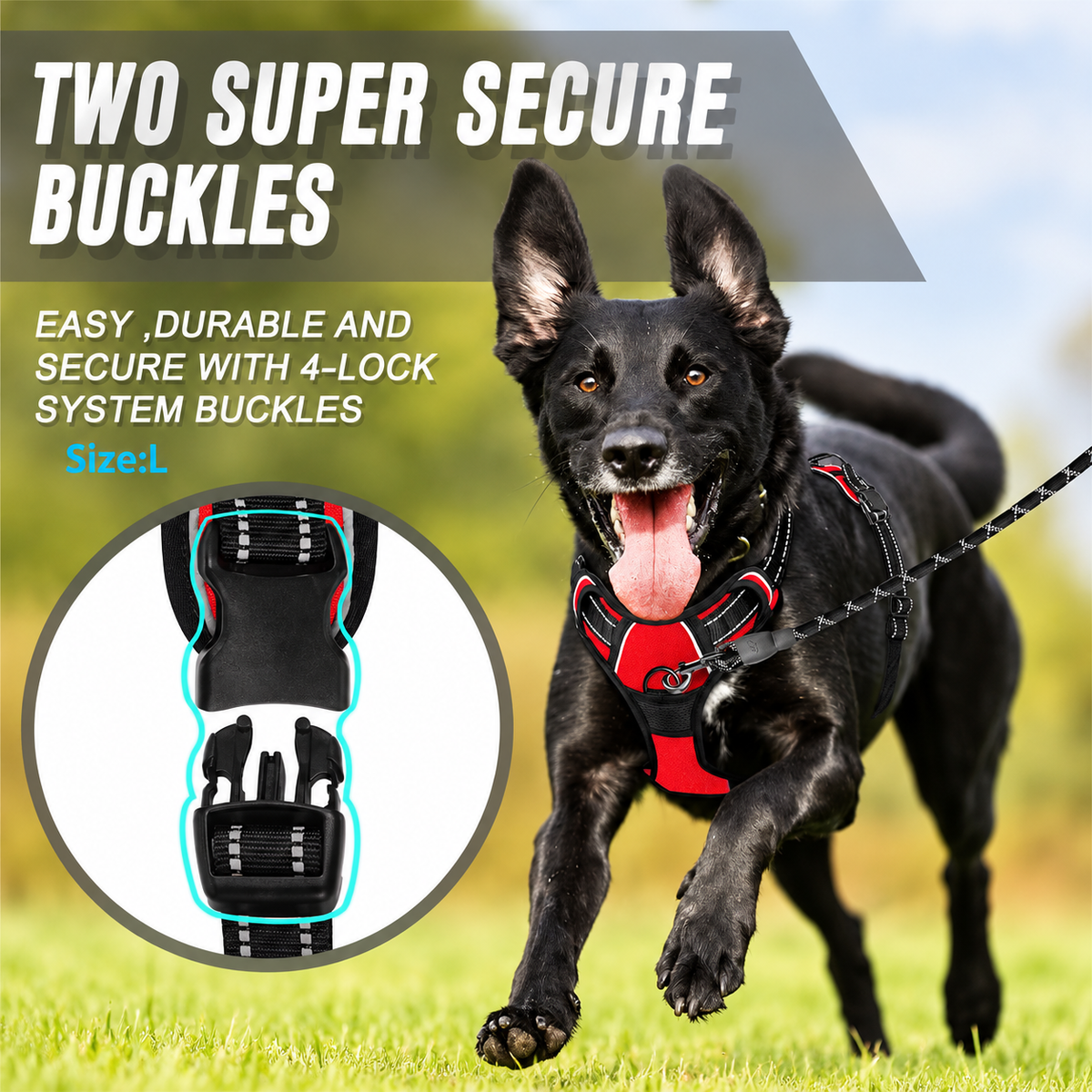Two secure quick-release buckles on the No Pull Dog Harness