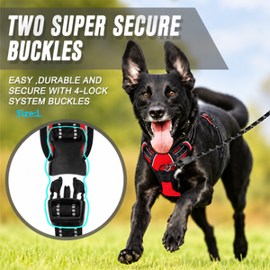 Two secure quick-release buckles on the No Pull Dog Harness