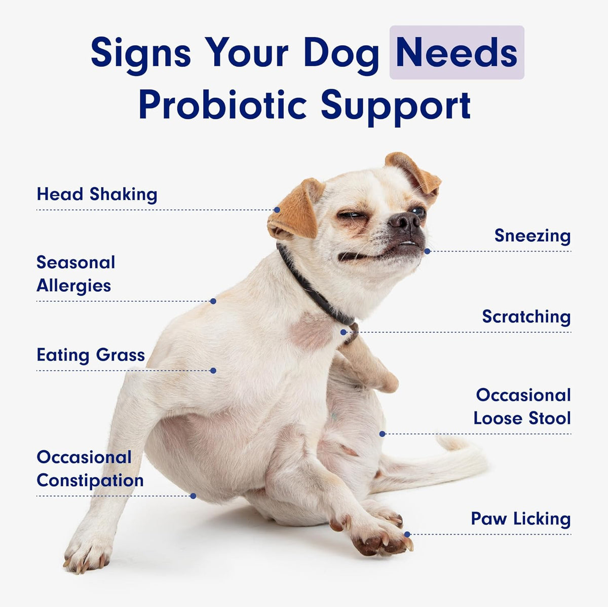 PetLab Co. Probiotic Chew+ for Dogs – Pork Flavor Digestive Support, 30 Chews – photo 7