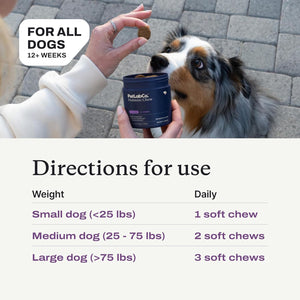 PetLab Co. Probiotic Chews for Dogs – Gut Health Supplement 30 Count – photo 4