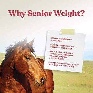 Manna Pro Senior Horse Weight Gain Supplement 8 lb – photo 5