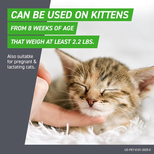Frontline Plus for Cats and Kittens – 6 Month Flea and Tick Prevention