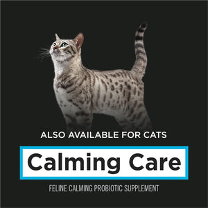 Purina Pro Plan Calming Care Dog Probiotic Supplement 30 ct – photo 8
