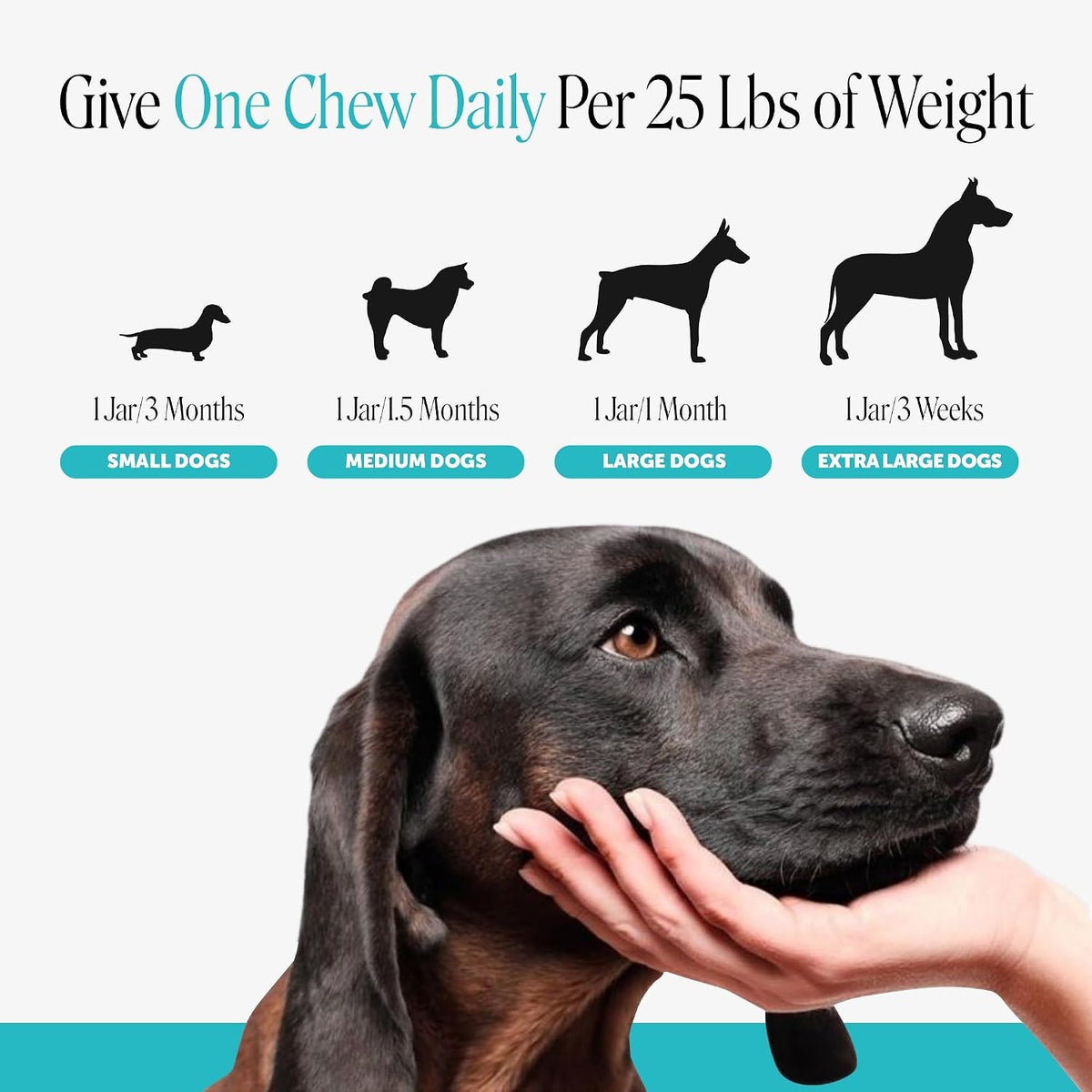 Pet Honesty Calming Chews for Dogs — 90 Soft Chews – photo 7