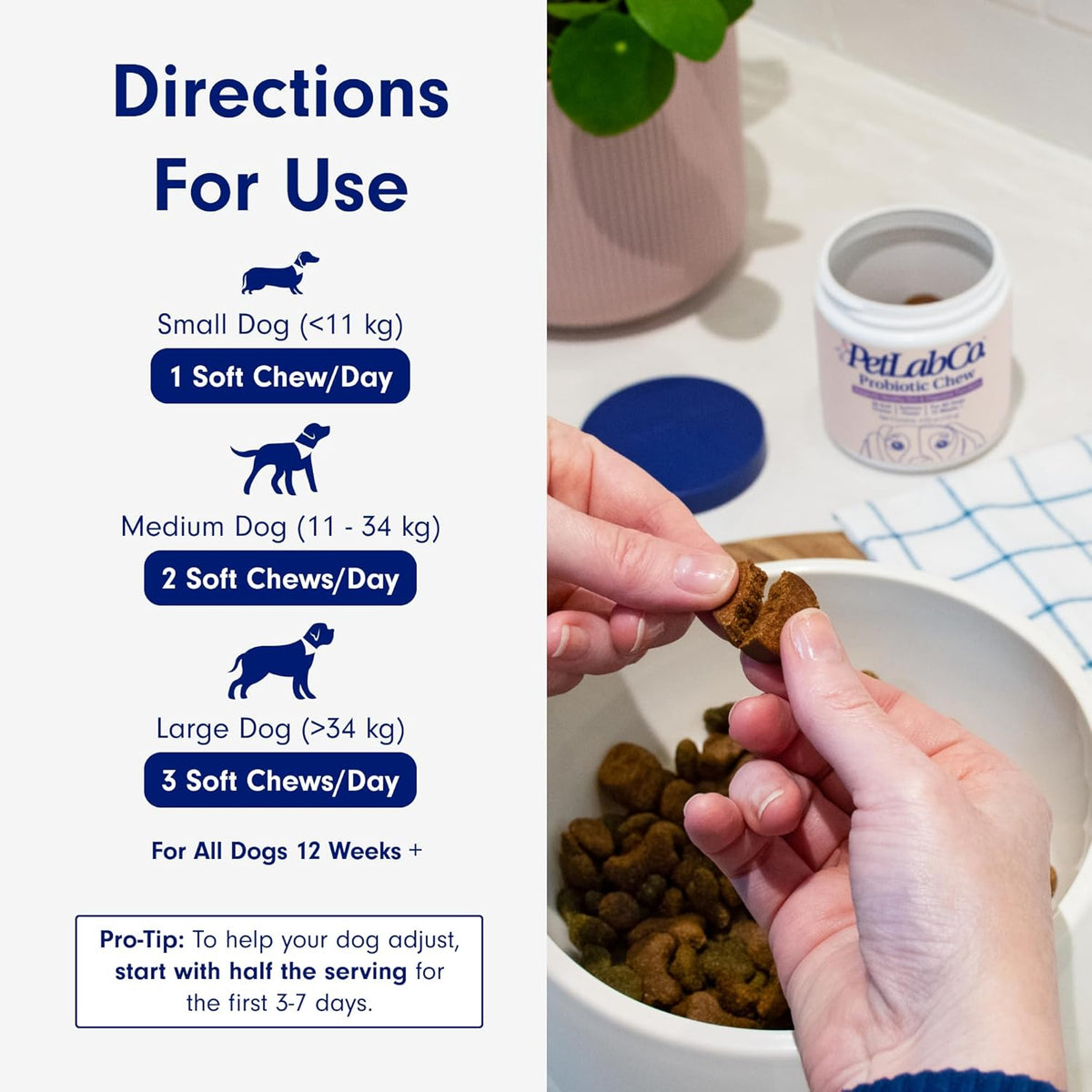 PetLab Co. Probiotic Chew+ for Dogs – Pork Flavor Digestive Support, 30 Chews – photo 9