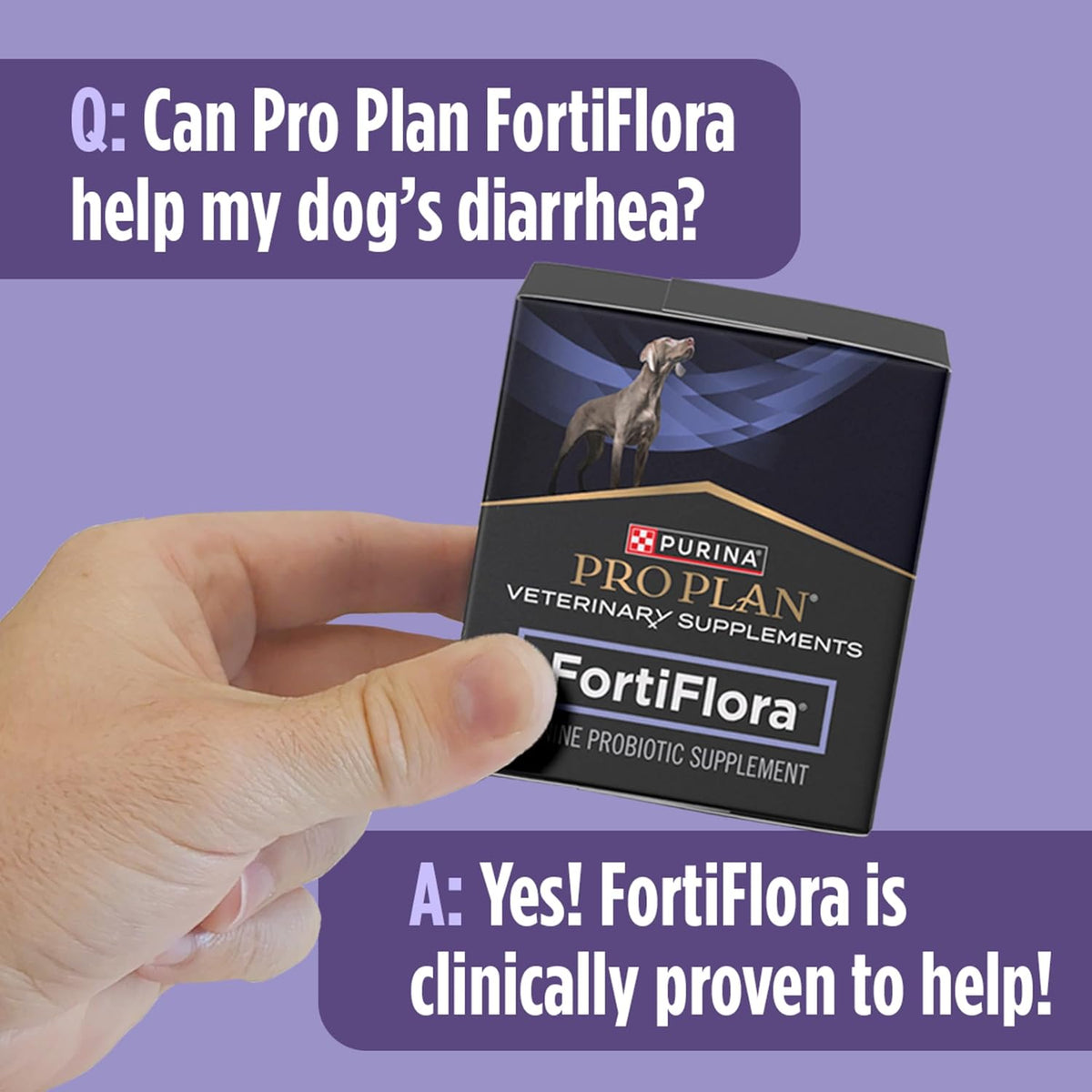 Purina Pro Plan FortiFlora Dog Probiotic, 30 sachets