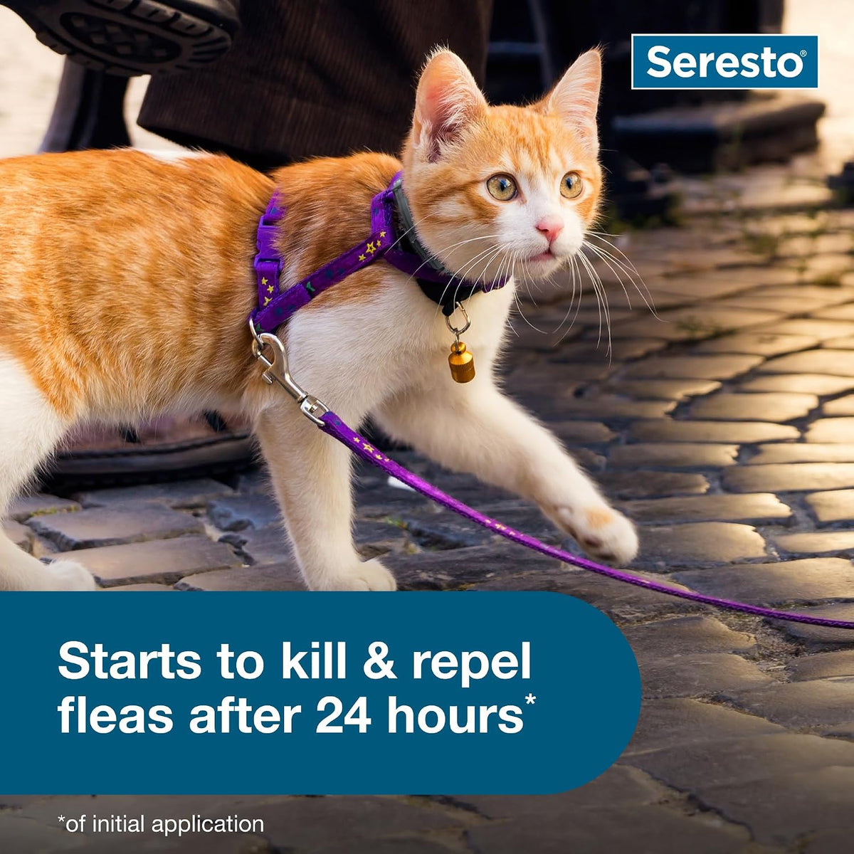 Seresto Cat Flea & Tick Collar – 8 Months Protection – photo 3