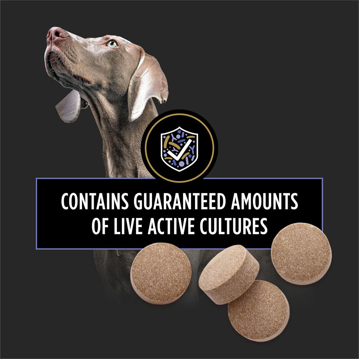 Purina Pro Plan FortiFlora Chewable Dog Probiotic – photo 4