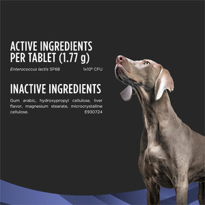 Purina Pro Plan FortiFlora Chewable Dog Probiotic – photo 5