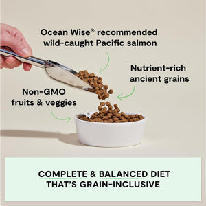 Open Farm Wild-Caught Salmon & Ancient Grains Dry Dog Food, 4 lb – photo 8