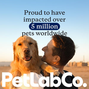 PetLab Co. Probiotic Chews for Dogs – Gut Health Supplement 30 Count – photo 2