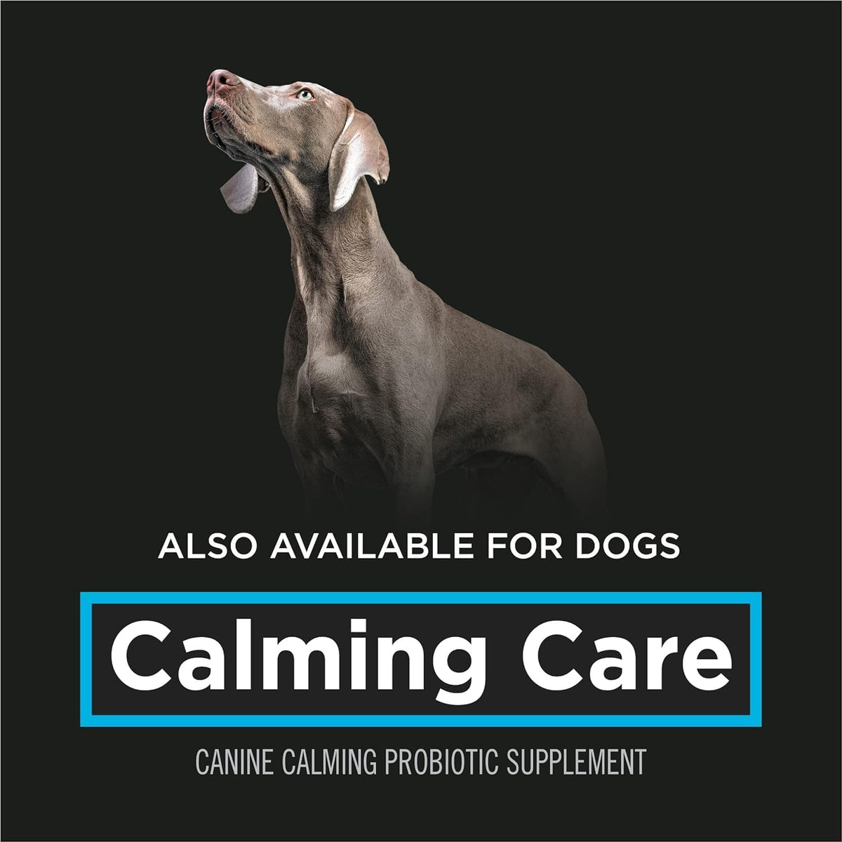 Purina Pro Plan Calming Care Cat Probiotic Supplement 30 ct – photo 7