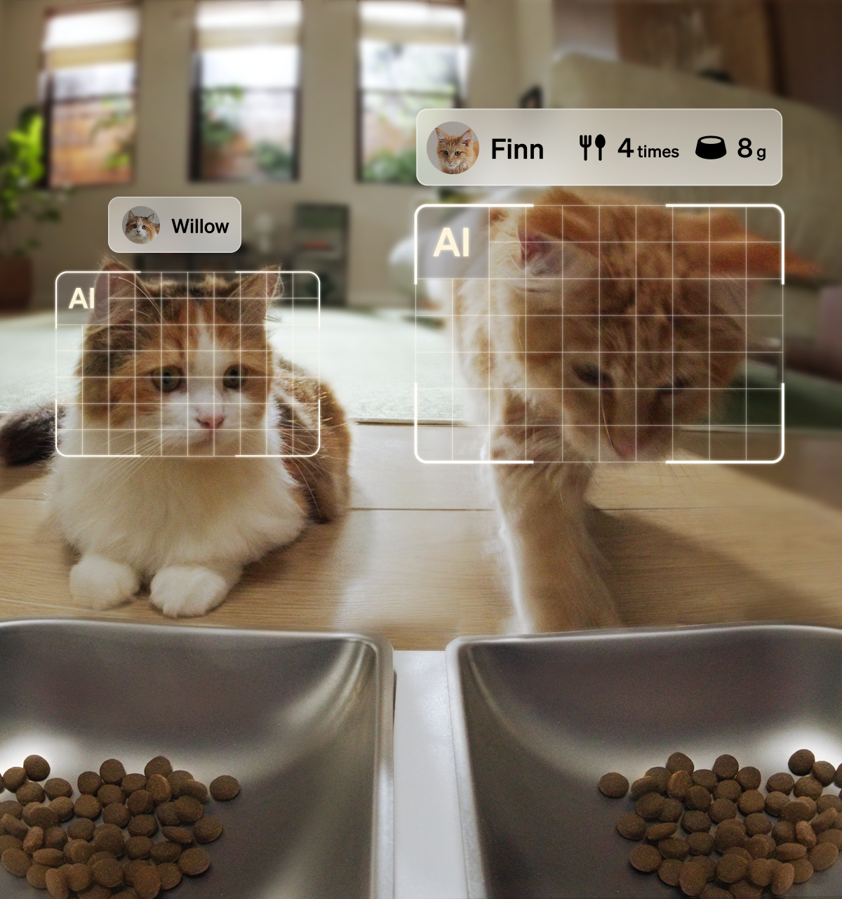 PETLIBRO Granary 2 Vision Duo smart feeder