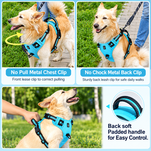 Golden retriever wearing the harness with four adjustment points and locking slide buckle