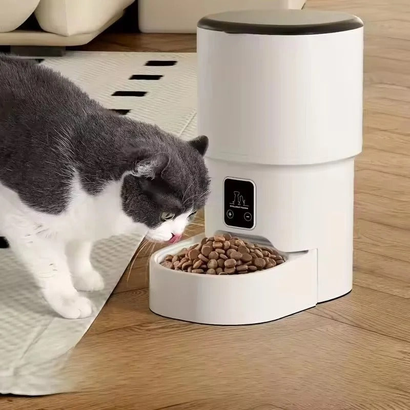 Cat eating from the 4L automatic pet feeder