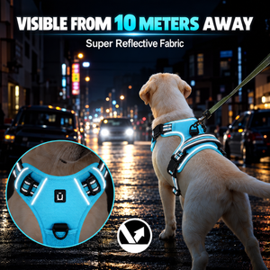 Labrador wearing the Sky Blue harness with all nine colour options shown