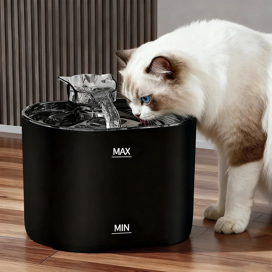 Black 2.2L cat water fountain with a cat drinking