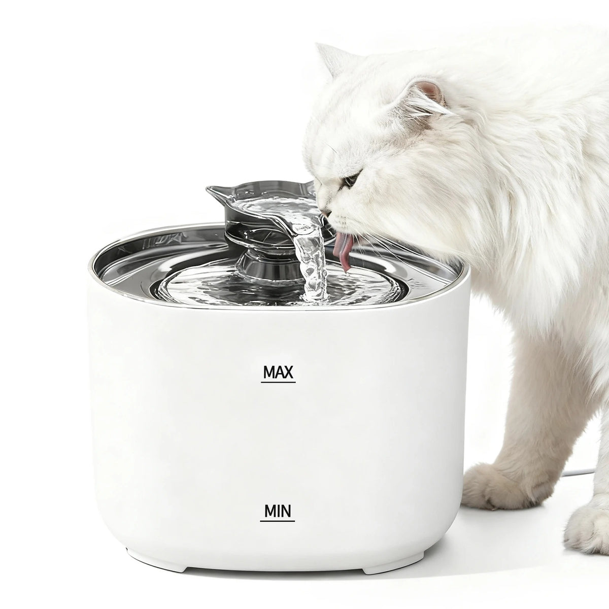 White cat water fountain