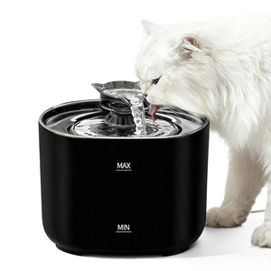 Black cat water fountain