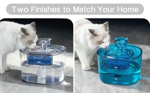 Transparent and blue fountains with cats