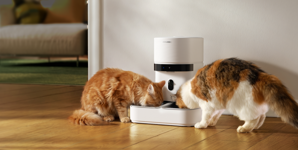 Two cats eating from the Granary 2 Vision Duo
