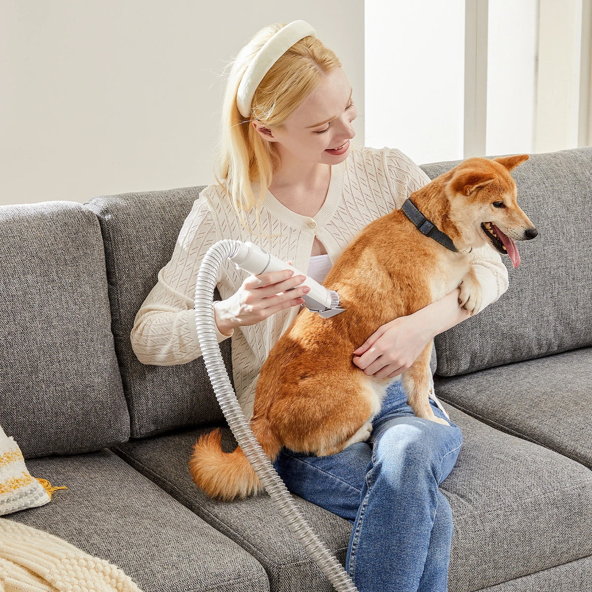 Grooming a dog at home with the pet grooming vacuum