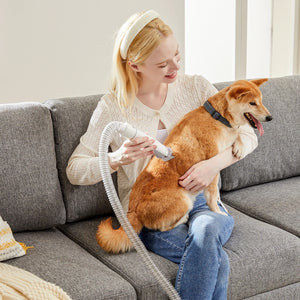 Grooming a dog at home with the pet grooming vacuum