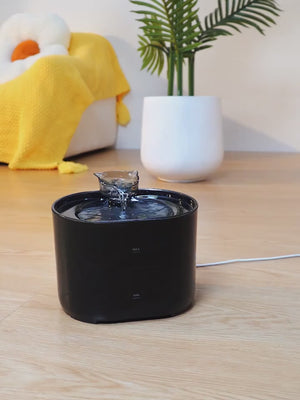 Cat water fountain demo video