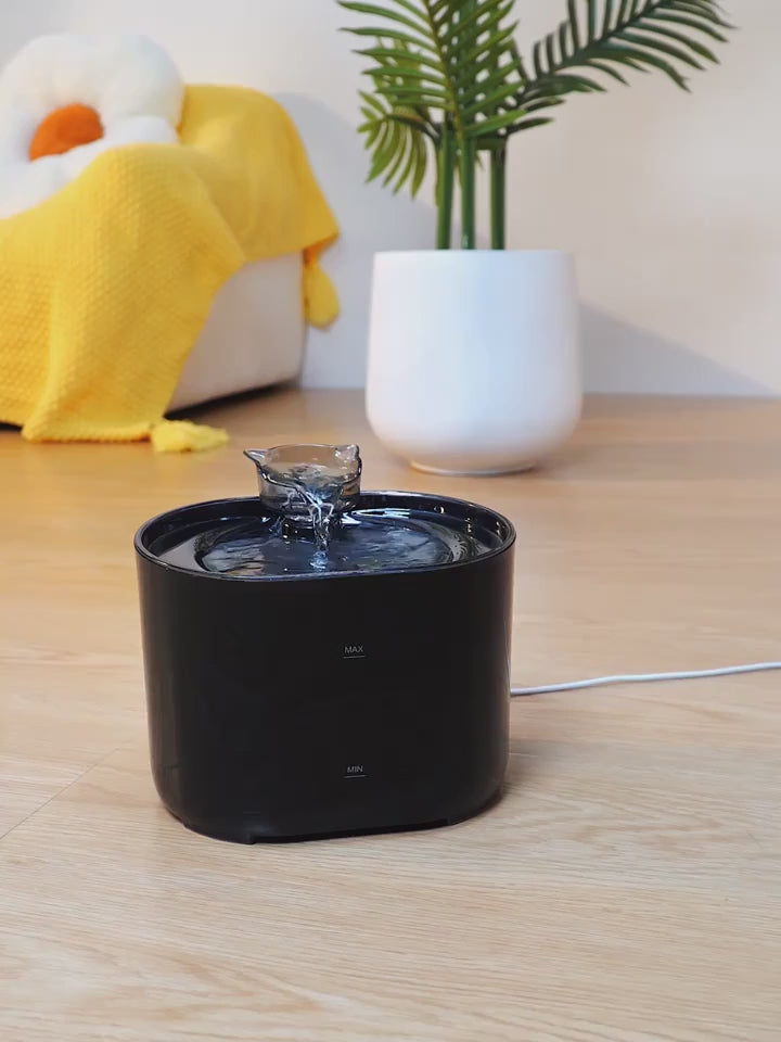 Cat water fountain demo video