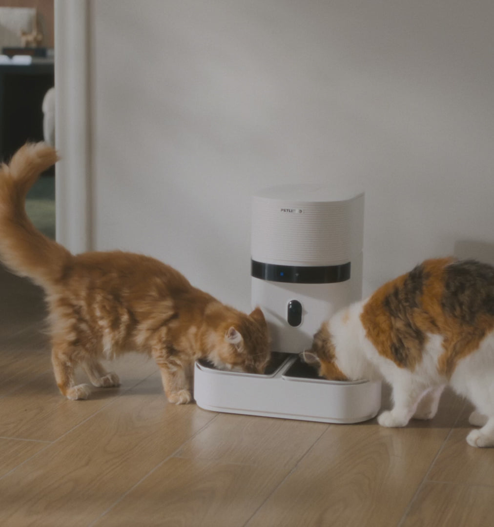 PETLIBRO Granary 2 Vision Duo in action